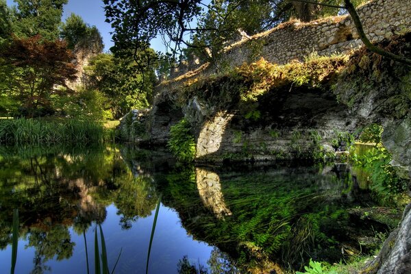 Ríos de Europa en medio de un bosque verde