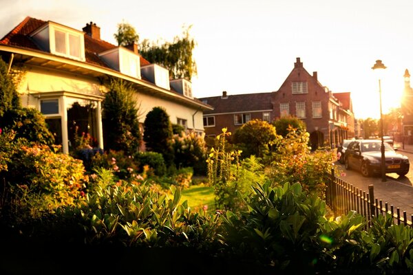 Bellissimo giardino vicino a una casa enorme