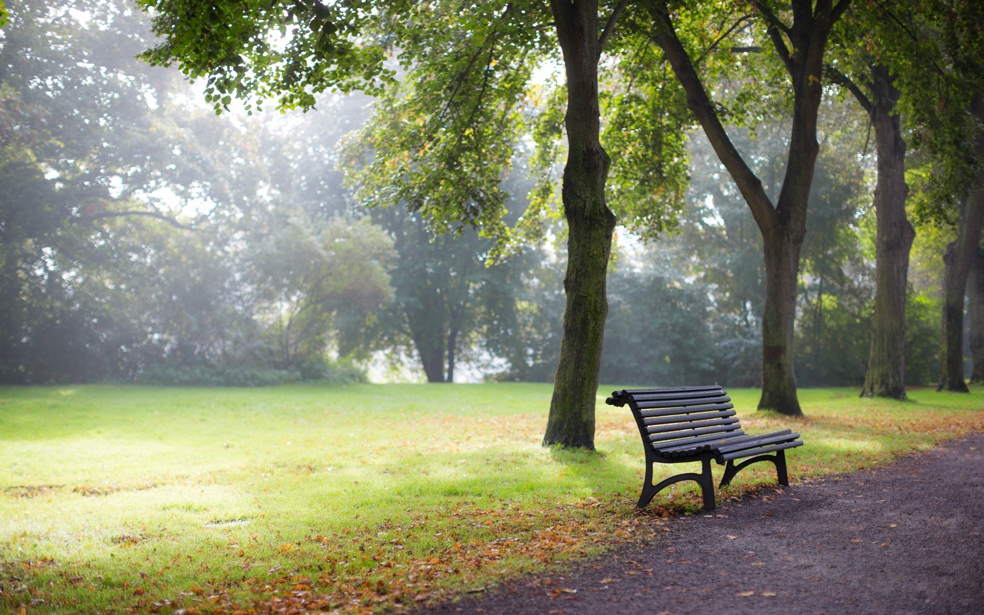 europe bench tree wood park grass landscape leaf garden nature lawn summer outdoors lush environment guidance fair weather seat