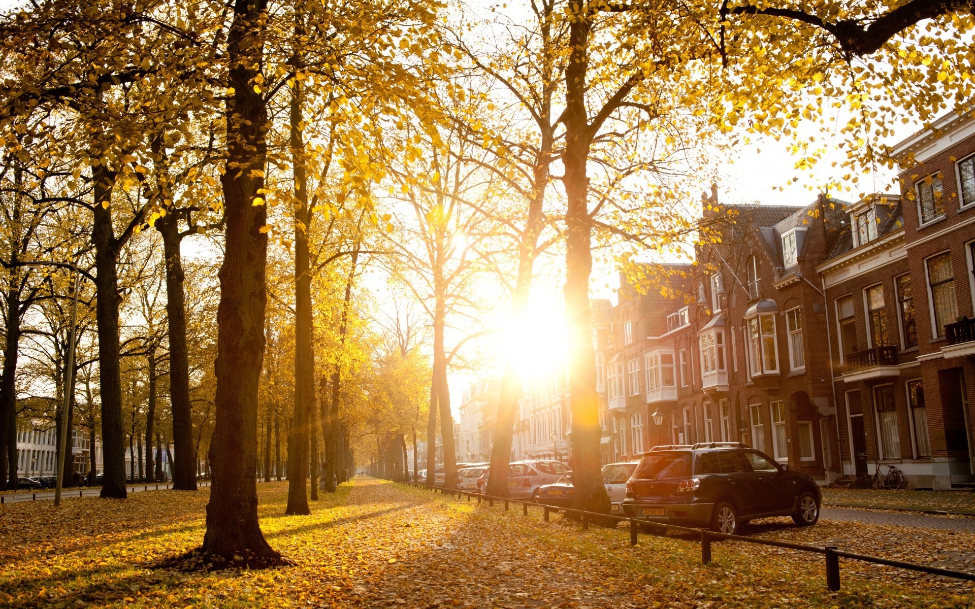 europa autunno albero legno parco foglia stagione paesaggio vicolo strada natura luce all aperto bel tempo alba scenic ambiente