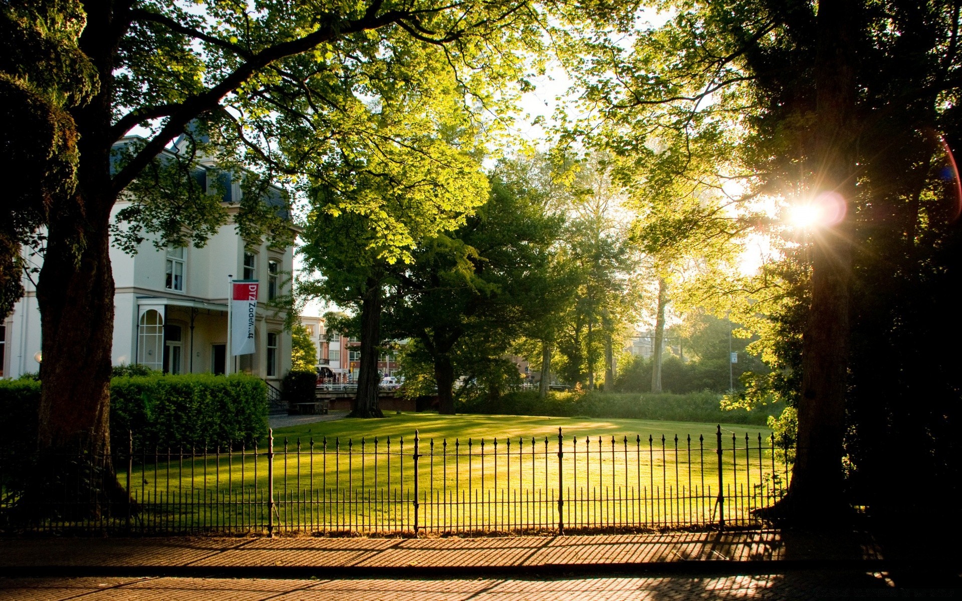 europa baum park straße licht landschaft führung garten straße natur holz herbst allee sonne