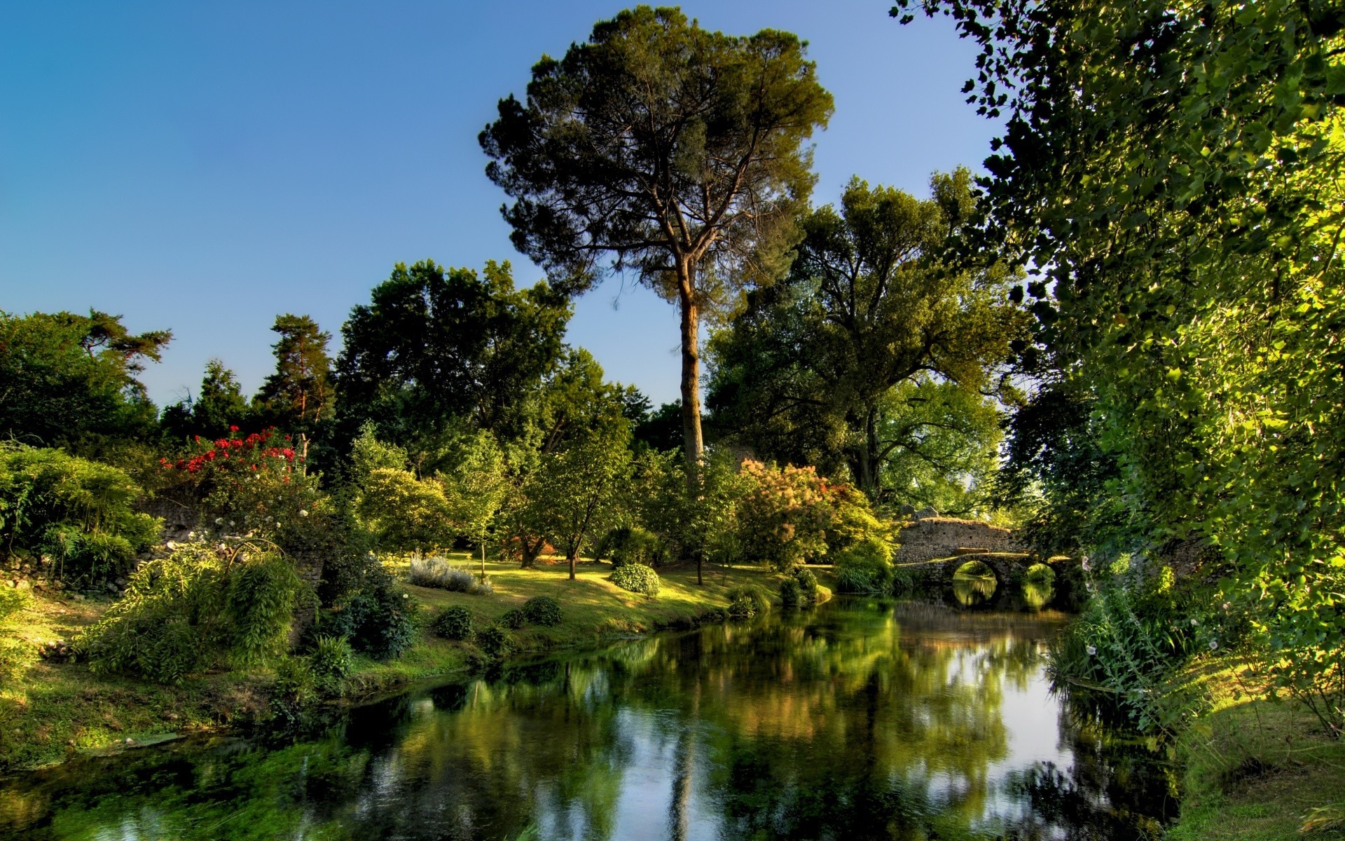 europa natura albero all aperto paesaggio acqua legno estate cielo foglia erba parco lago fiume viaggi bel tempo piscina freddo riflessione rurale