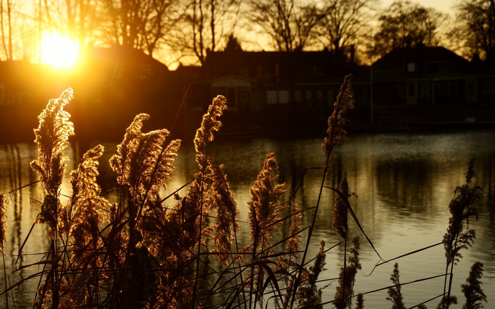 l europe coucher du soleil hiver aube neige nature eau paysage arbre froid soir à l extérieur crépuscule réflexion soleil lumière ciel lac météo gel