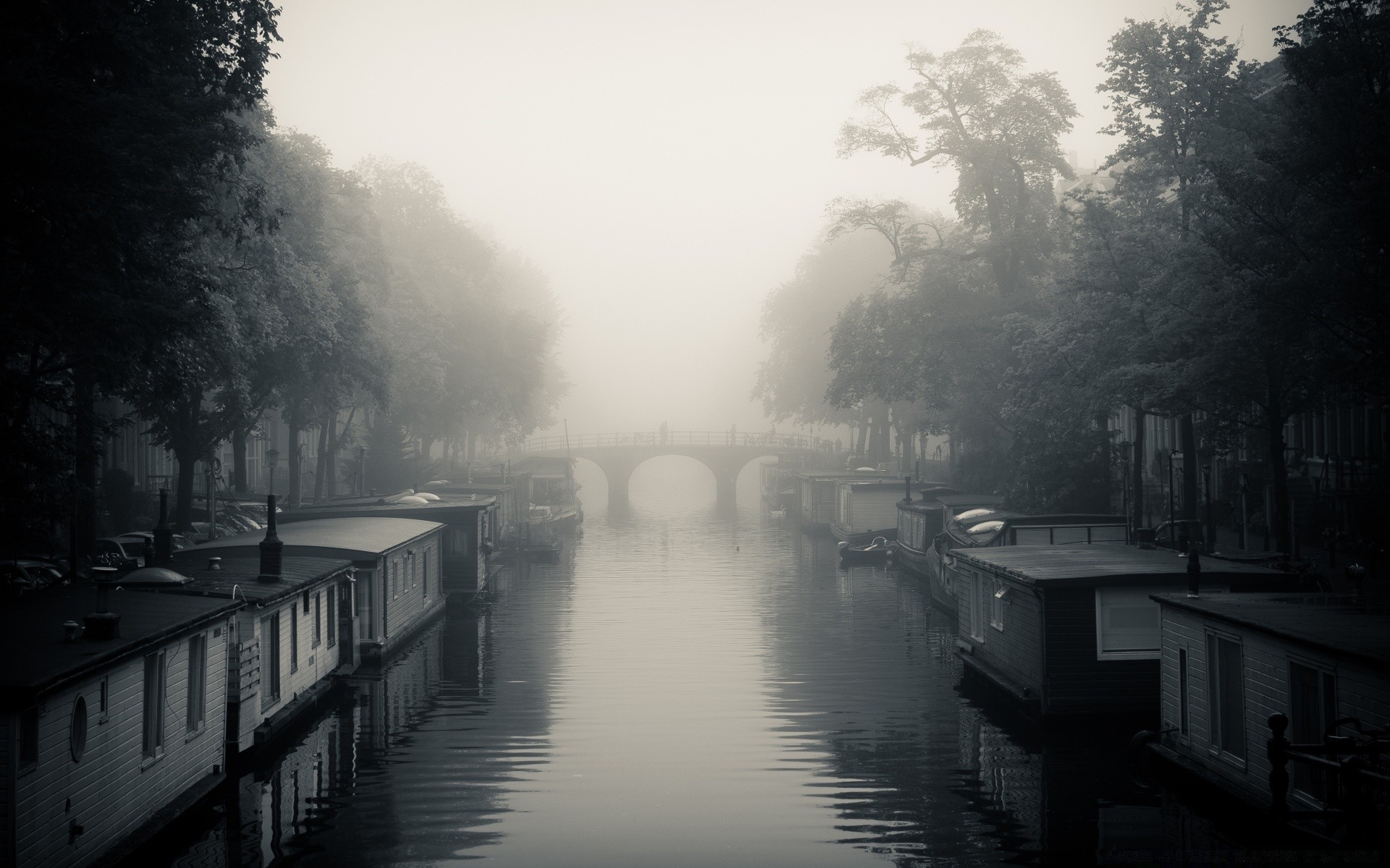 europa monochrom nebel nebel wasser fluss schwarz / weiß regen reflexion dämmerung straße see baum stadt brücke