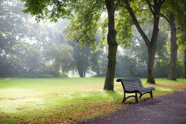 European style bench in the park