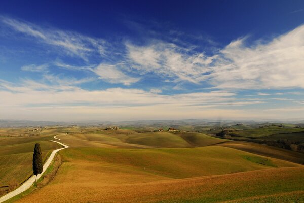 Paesaggio nel deserto al tramonto