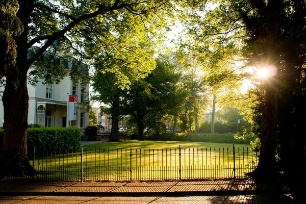 Europäischer Park mit Bäumen und Straße