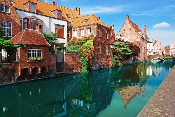 A town with canals in the yard and greenery