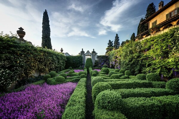 Jardim europeu com flores roxas