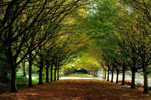 Schöne Parks im Herbst in Europa