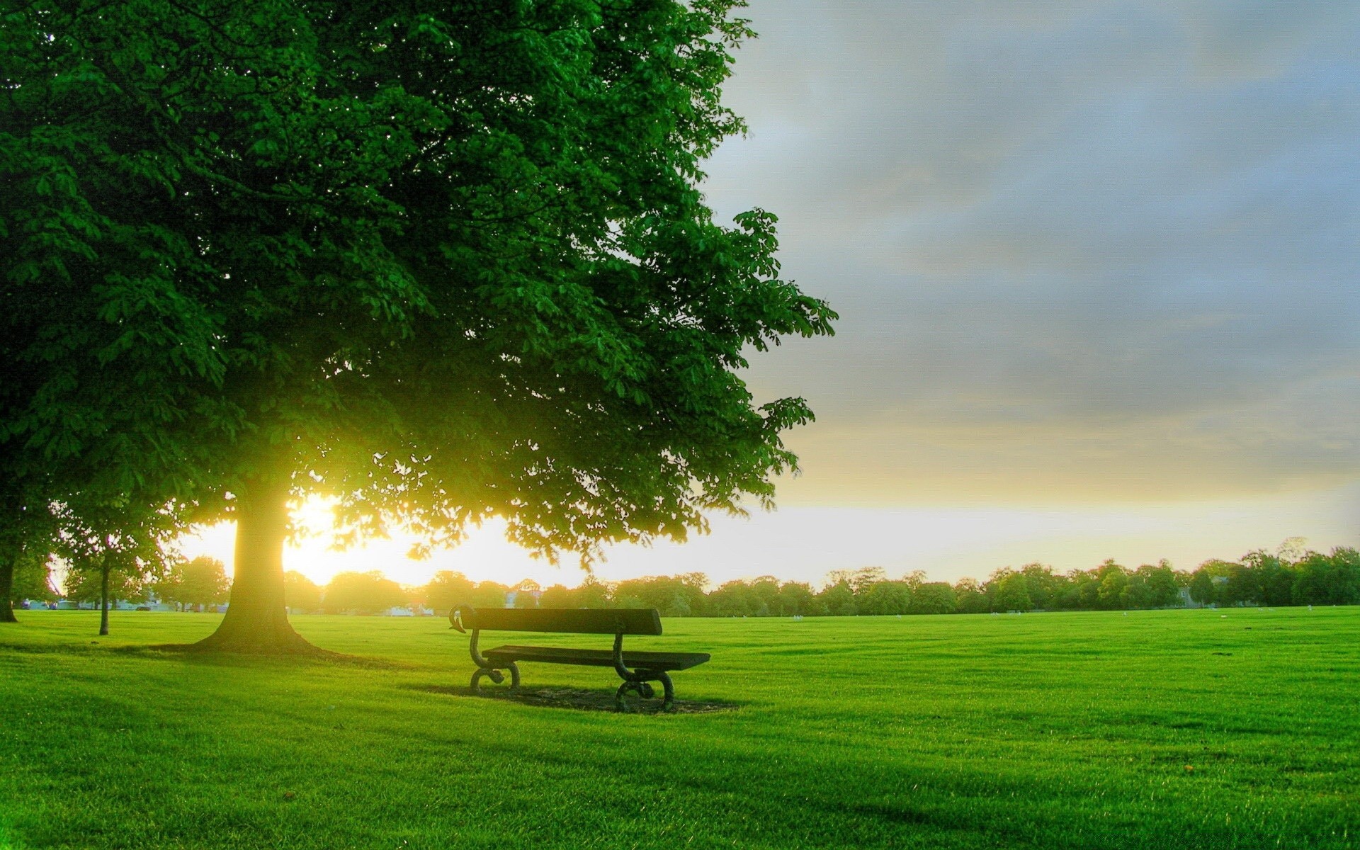 paisaje hierba naturaleza sol rural paisaje amanecer verano campo árbol buen tiempo campo al aire libre puesta de sol cielo heno brillante pasto otoño