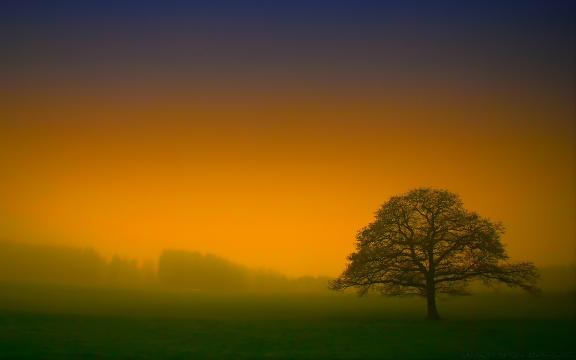 paysage coucher de soleil aube soleil paysage soir nature silhouette brouillard ciel arbre rétro-éclairé beau temps crépuscule brouillard lumière campagne en plein air