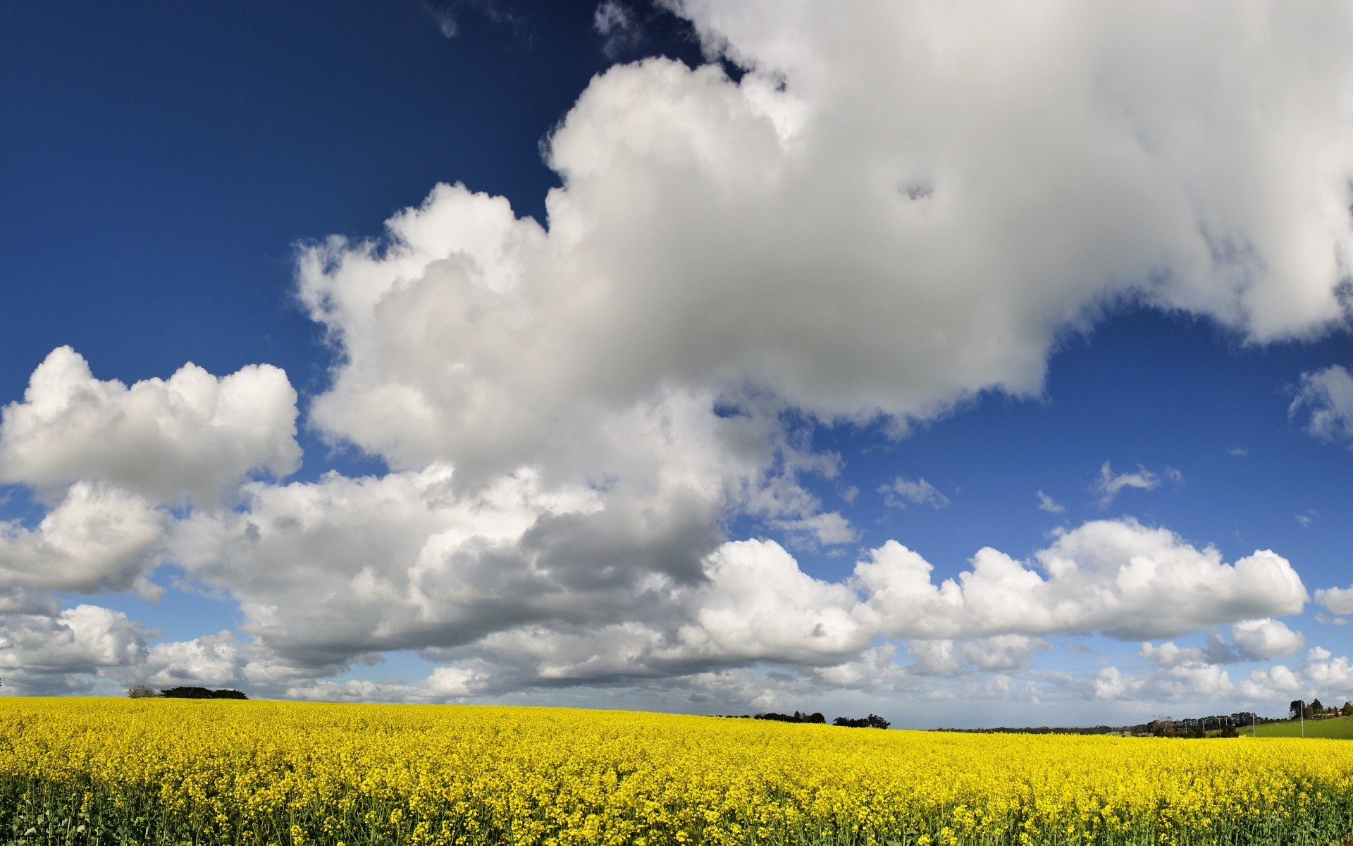 landschaft landschaft feld natur himmel des ländlichen landwirtschaft wolke sonne sommer bauernhof gutes wetter land landschaft ernte horizont im freien blume wetter boden