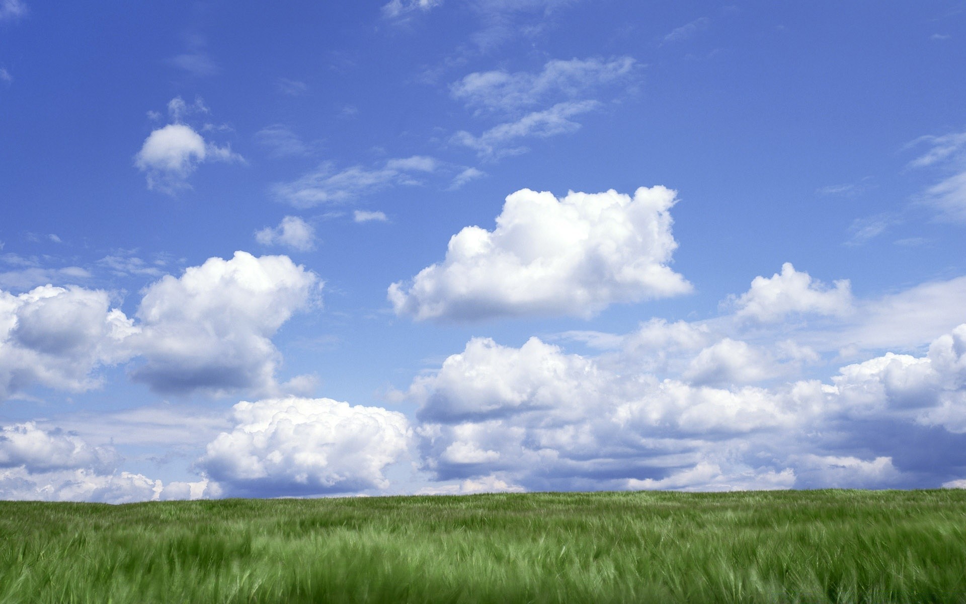 landschaft weide im freien natur des ländlichen himmel sommer landschaft gras sonne gutes wetter landwirtschaft landschaft feld wachstum idylle weizen bauernhof wolke ackerland