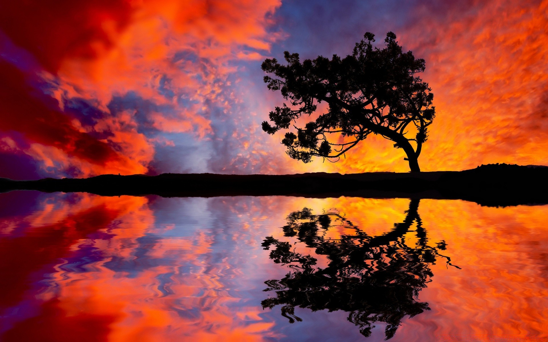 landschaft sonnenuntergang dämmerung sonne silhouette himmel landschaft abend natur gutes wetter landschaftlich wetter hintergrundbeleuchtung dämmerung licht hell im freien dramatisch baum farbe