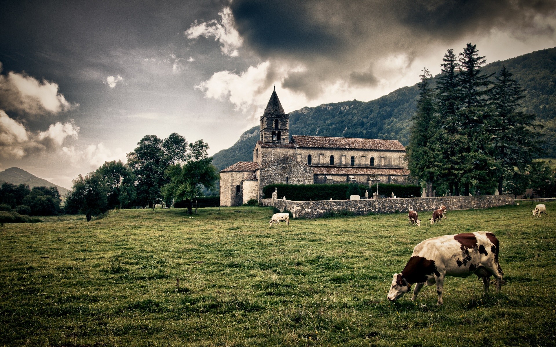 paisaje agricultura granja ganado hierba pastoral rural campo al aire libre animales vivos paisaje cielo heno campo vaca naturaleza mamífero pasto viajes ovejas