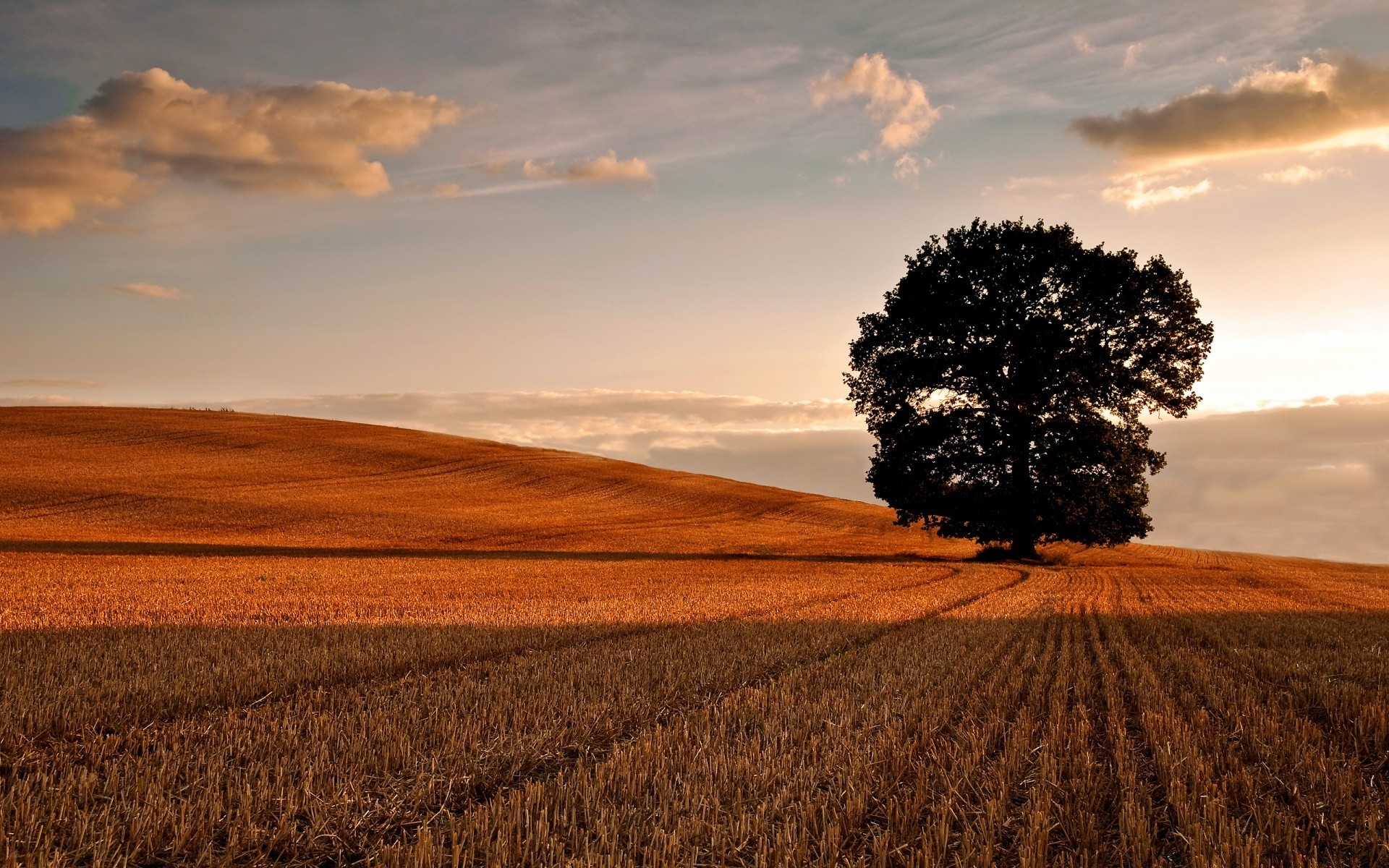 paisagens pôr do sol paisagem agricultura amanhecer terras cultivadas natureza céu campo sol campo ao ar livre rural fazenda trigo à noite bom tempo