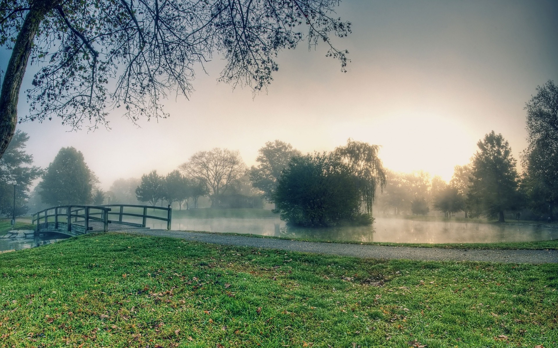 paesaggio albero paesaggio alba natura erba nebbia luce nebbia tempo parco all aperto legno sole cielo autunno ambiente campo rurale estate