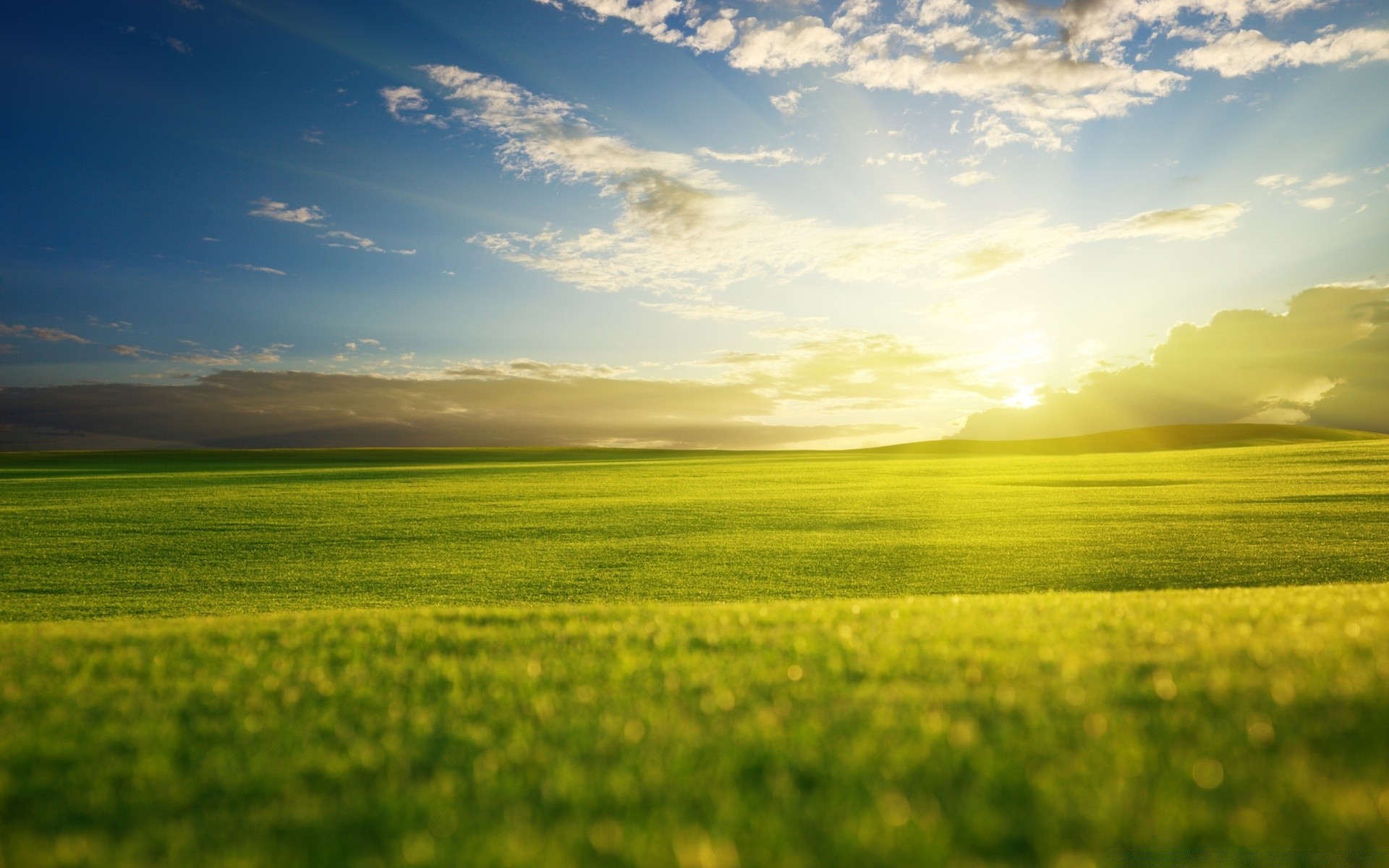 landscapes field rural farm landscape grass hayfield nature agriculture pasture countryside sun sky horizon summer soil country fair weather cloud growth