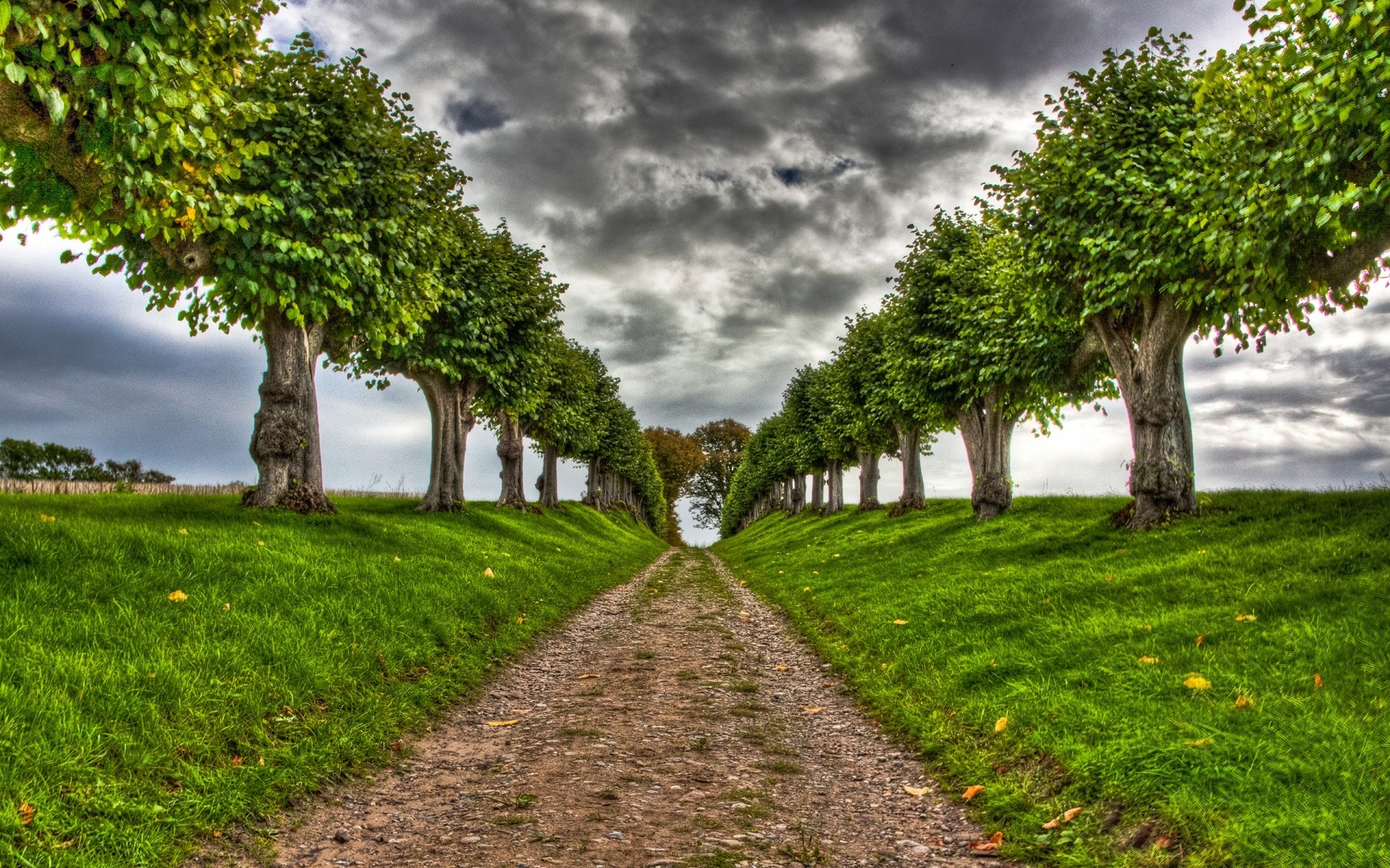 paysage arbre herbe nature feuille été paysage à l extérieur jardin flore rural pelouse parc campagne