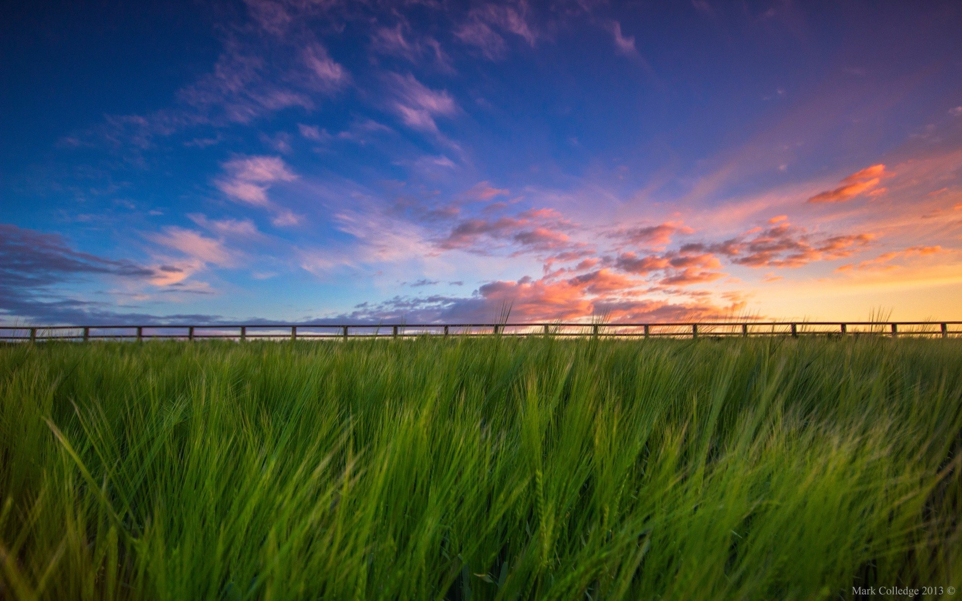 landscapes rural field pasture countryside cereal landscape grass sky sun agriculture dawn farm summer farmland nature wheat sunset outdoors fair weather