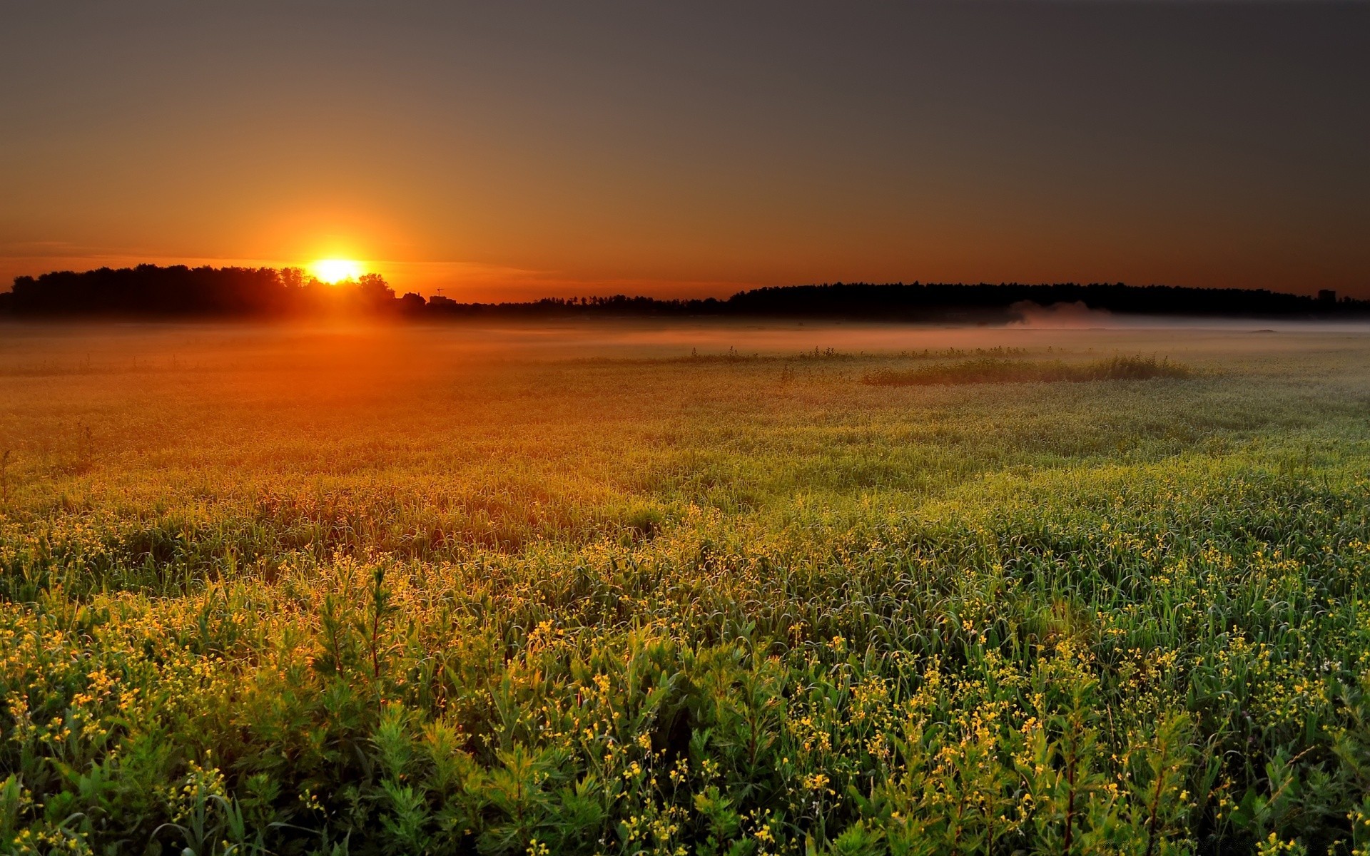 paisagens pôr do sol amanhecer natureza sol paisagem céu crepúsculo verão ao ar livre à noite bom tempo