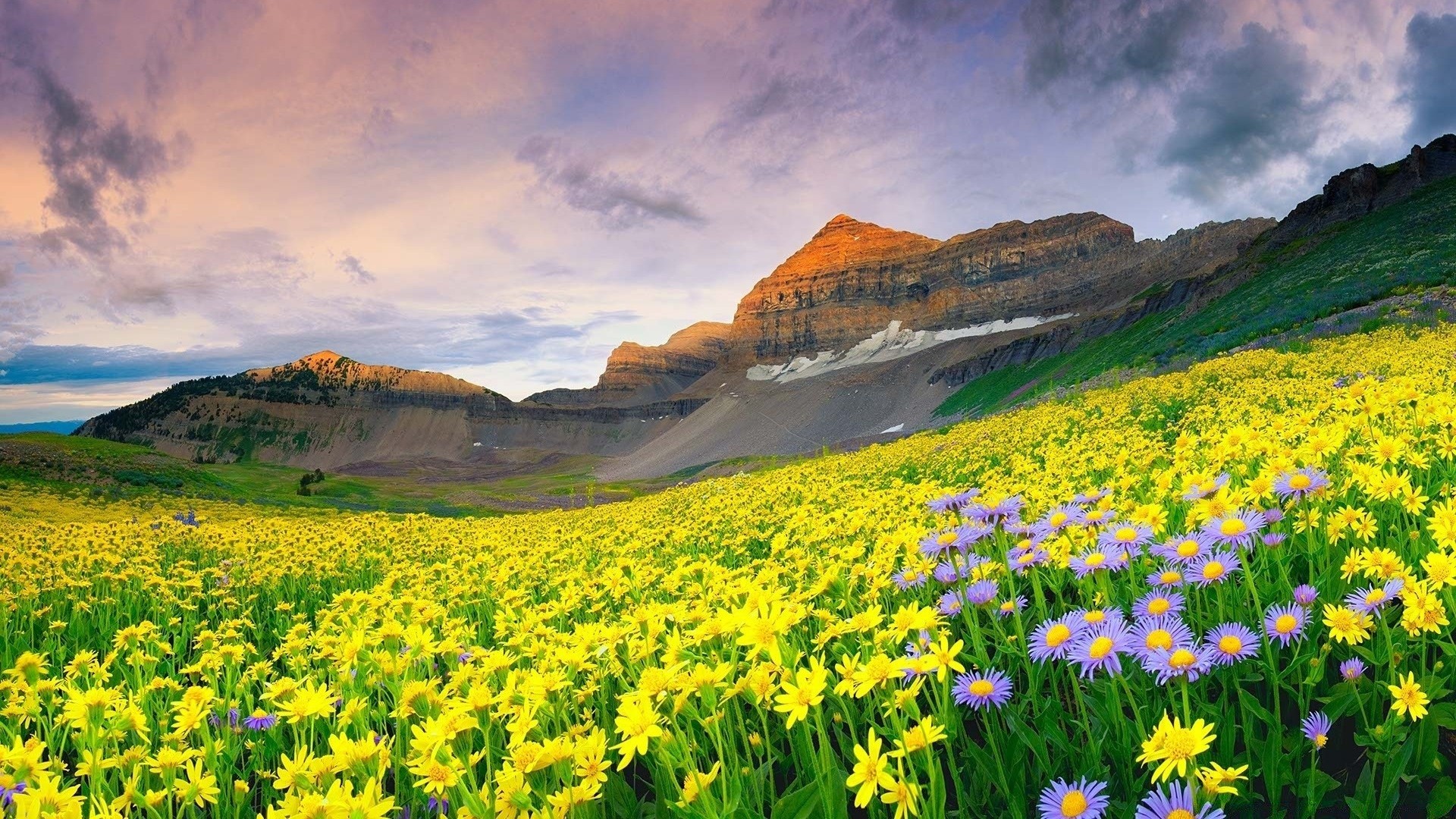 paysage nature paysage foin rural herbe à l extérieur été fleur champ ciel pittoresque beau temps voyage montagnes campagne flore pâturages