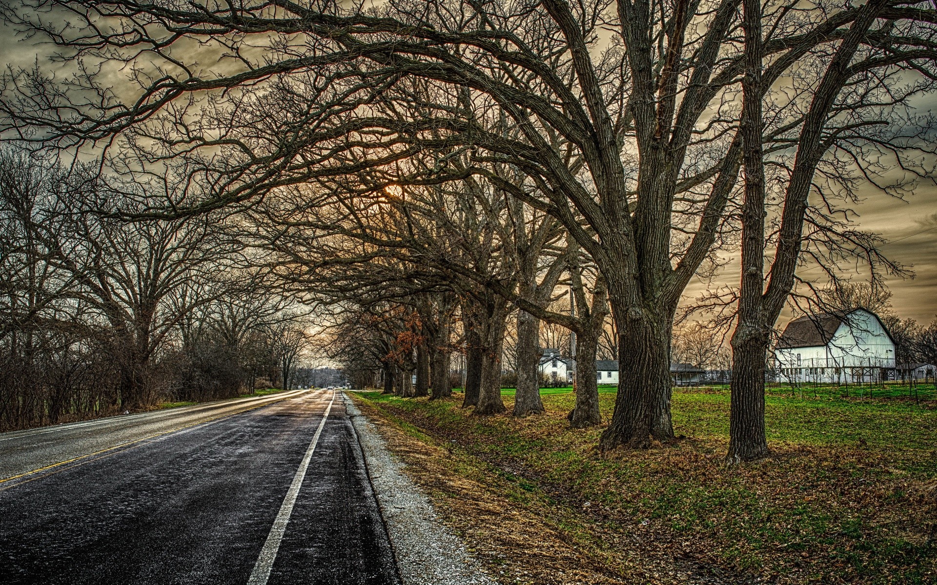 landschaft straße baum führung landschaft herbst holz natur landschaft perspektive ländliche licht blatt gasse im freien park