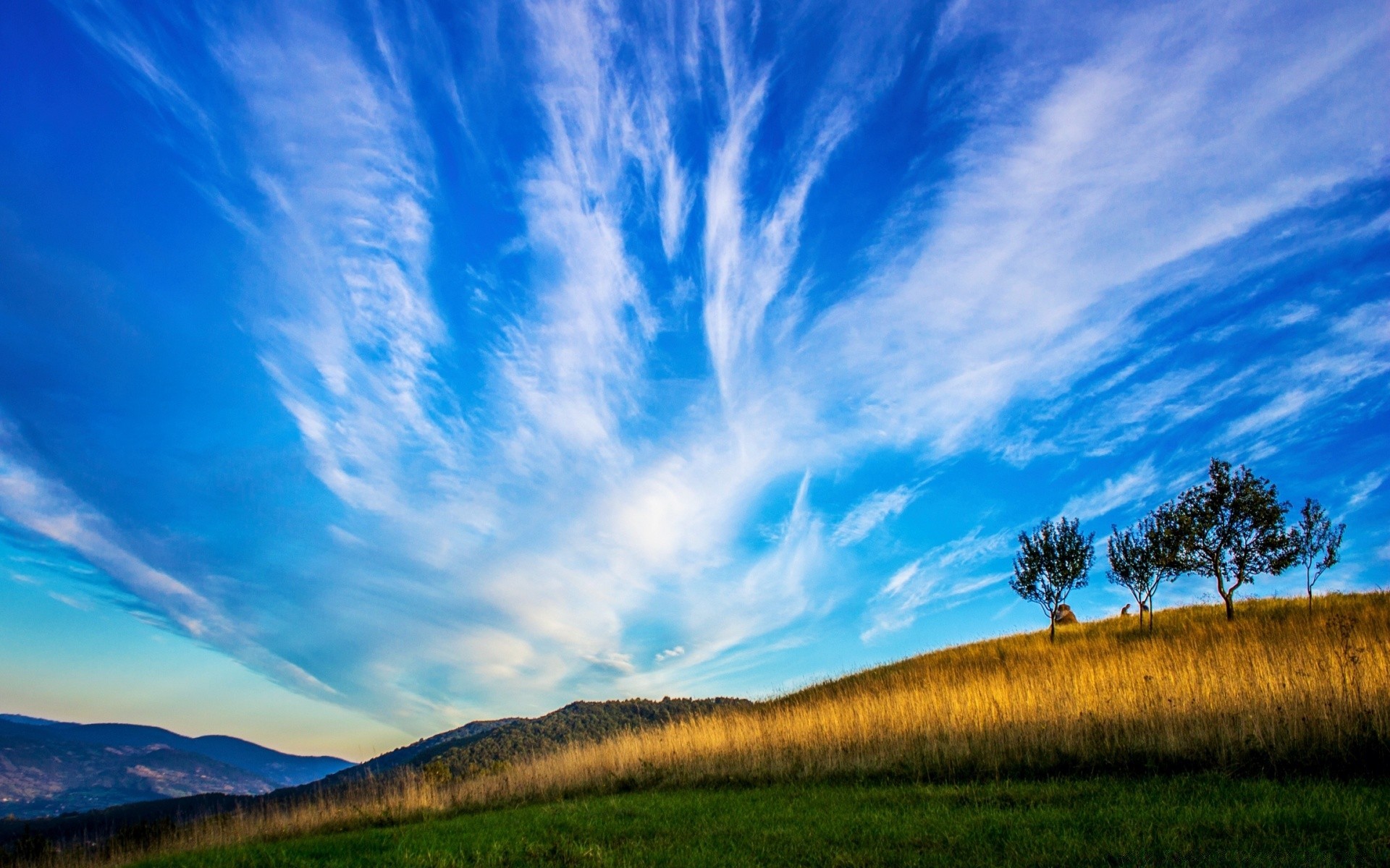 paysage paysage ciel nature en plein air herbe arbre été beau temps scénique rural aube campagne coucher de soleil lumière du jour nuage