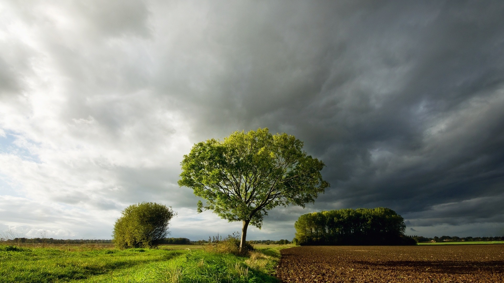 landscapes landscape tree sky nature rural storm countryside field grass outdoors cloud sunset dawn wood agriculture farm summer sun light