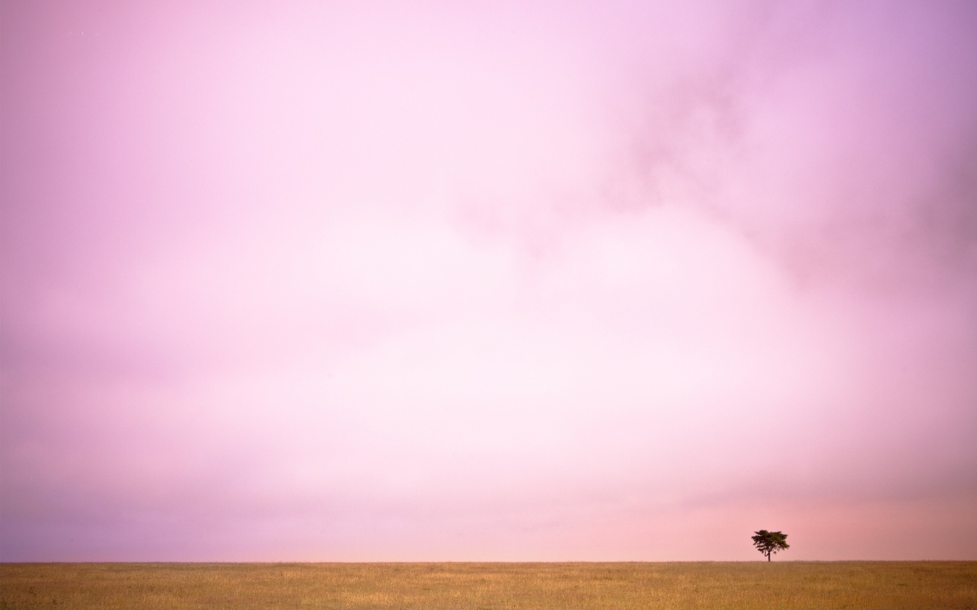 paesaggio cielo paesaggio natura tramonto alba nebbia sole