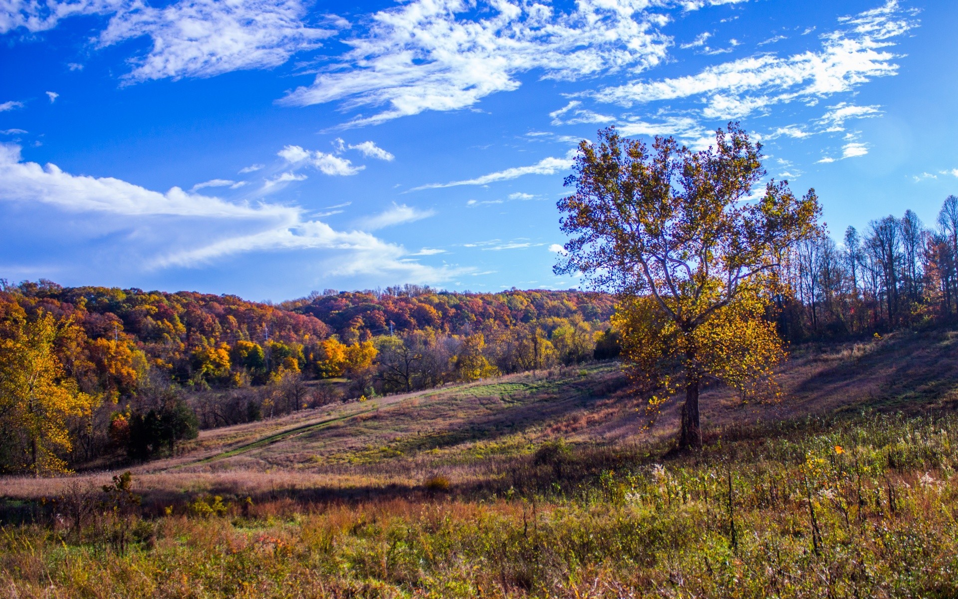 landscapes landscape tree nature wood scenic sky fall outdoors travel mountain hill grass countryside scene rural scenery sight hayfield season