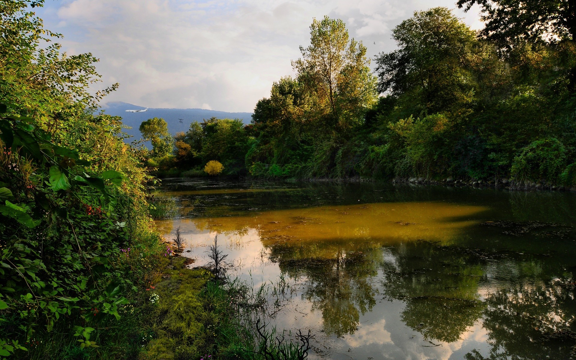 paesaggio acqua natura albero fiume paesaggio all aperto lago legno viaggi estate riflessione cielo scenic foglia parco piscina luce del giorno