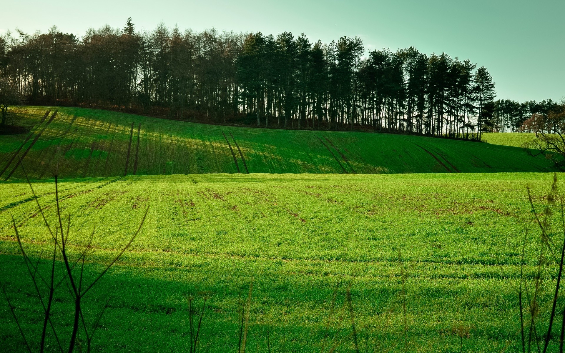 landschaft gras landschaft feld heuhaufen des ländlichen natur landwirtschaft baum landschaft sommer bauernhof land im freien weide himmel