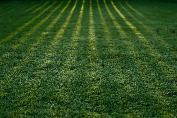 Landscapes of agriculture on the desktop