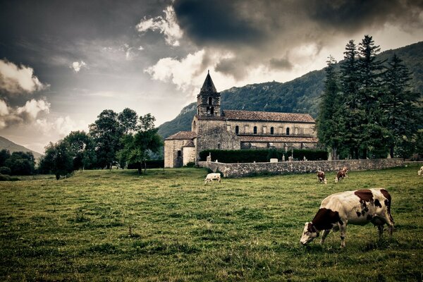 Paisaje en una granja con ganado