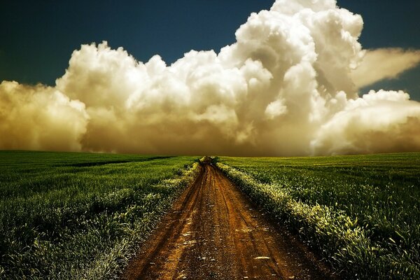 Ländliche Landschaft - Feld und Himmel