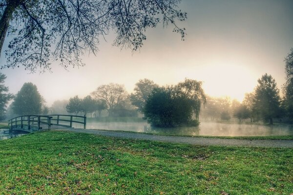 Landscape fog over the lake path along the lake