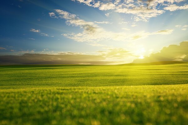 Warmer Sommerabend und Sonnenuntergang über dem grünen Feld