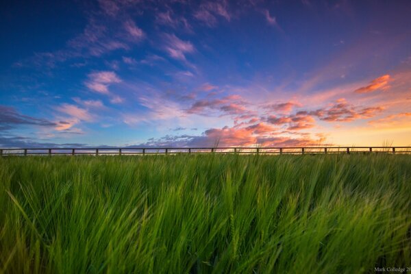 Hermosa puesta de sol en el campo