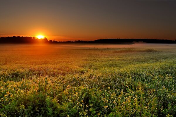 Paisajes naturales al amanecer del sol