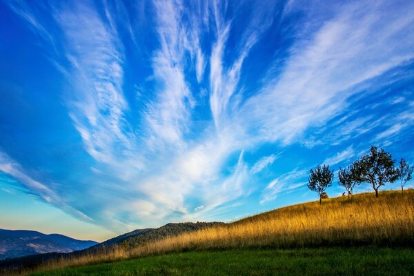 Blauer Himmel mit gefiederten Wolken