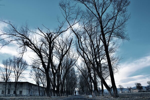 All inizio della primavera sotto un cielo freddo