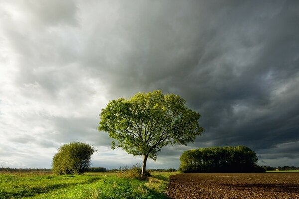 Landscape on the balance of nature