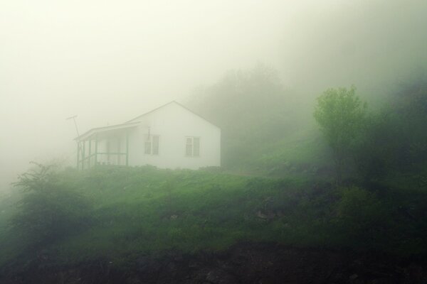 Paisaje cabaña en una colina en la niebla naturaleza