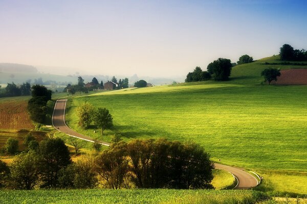 A road in a field with trees and hills