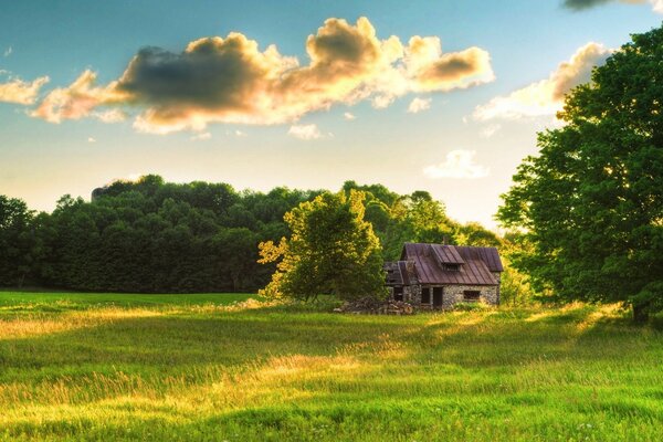 Matin ensoleillé dans un village avec une maison solitaire