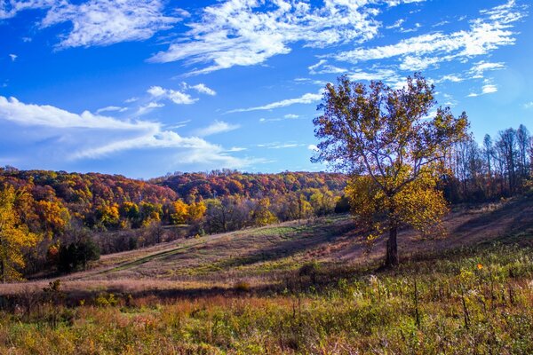 L inizio dell autunno nei colori dell estate in uscita