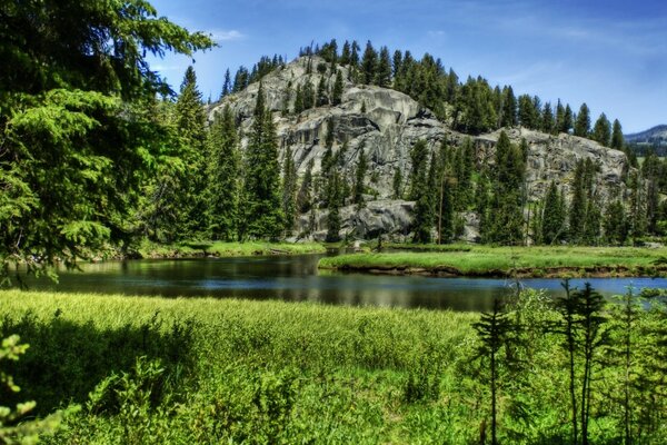 Paysage forestier. Lac miroir