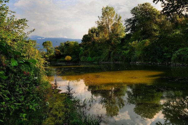 Superficie de agua en el fondo de dos orillas